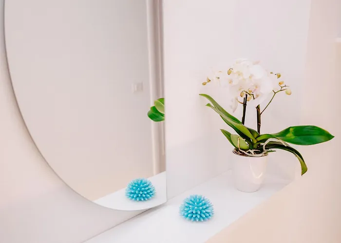 Casa Boma Pensionat 4*